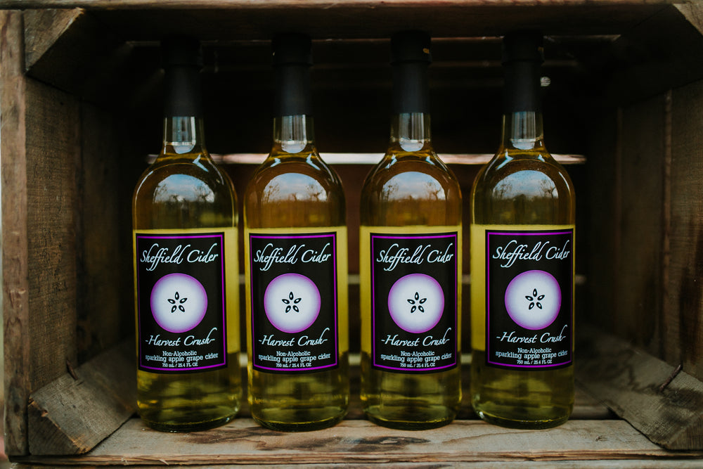 Harvest Crush Sparkling Apple Cider - Non-alcoholic