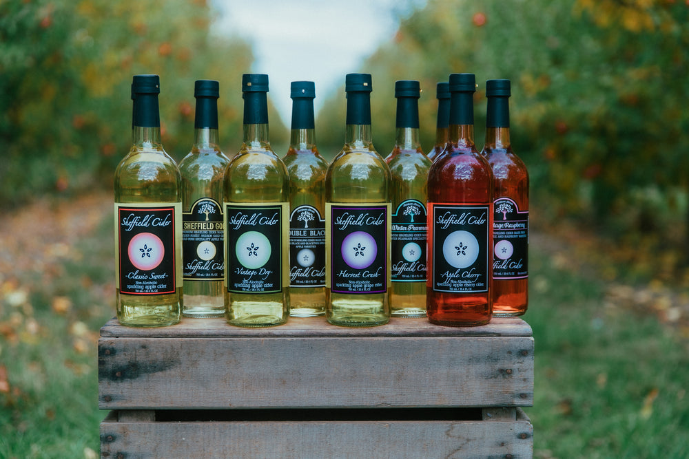 Celebrate Living Sparkling Cider Sampler